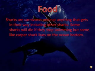 Sharks are carnivores and eat anything that gets in their way including other sharks. Some sharks will die if they stop swimming but some like carper shark lives on the ocean bottom.Food