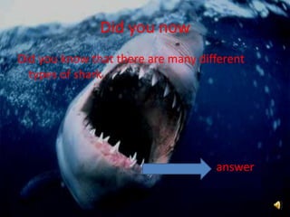 Did you nowDid you know that there are many different types of shark.answer