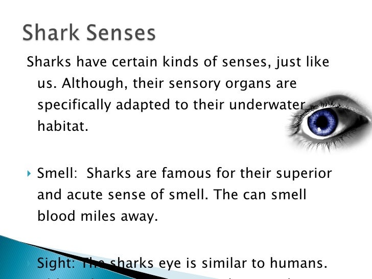Sharks