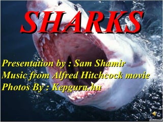 SHARKS   Presentation by : Sam Shamir Music from Alfred Hitchcock movie Photos By : Kepguru.hu 