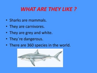 WHAT ARE THEY LIKE ?
• Sharks are mammals.
• They are carnivores.
• They are grey and white.
• They´re dangerous.
• There ...