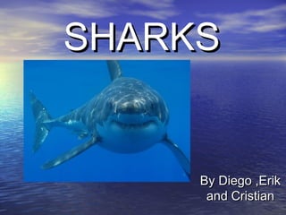 SHARKS

By Diego ,Erik
and Cristian

 