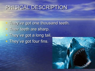 PHISICAL DESCRIPTION
•
•
•
•

They’ve got one thousand teeth.
Their teeth are sharp.
They’ve got a long tail.
They’ve got ...