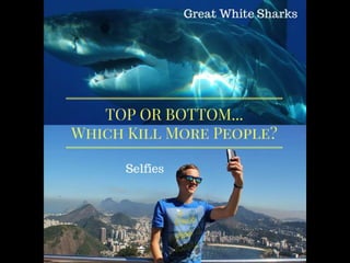 Sharks vs Selfies