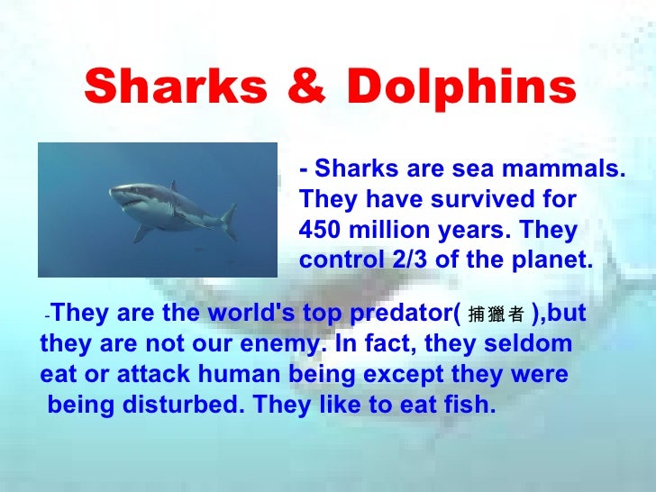 Sharks20&20 Dolphins[1]