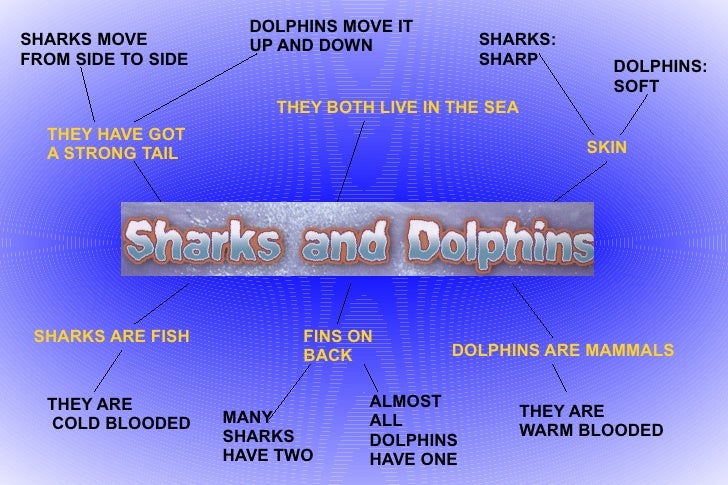 How do you tell the difference between shark and dolphin fins?