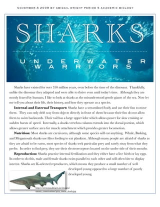 november,5 2009 by abigail wright period 5 academic biology




    SHARKS
       u         n d                       e r w a t                                   e          r
                 w a                       r r i o r                                   s


   Sharks have existed for over 350 million years, even before the time of the dinosaur. Thankfully,
unlike the dinosaur they adapted and were able to thrive even until today’s time. Although they are
mostly feared by humans, I like to look at sharks as the misunderstood gentle giants of the sea. Now let
me tell you about their life, their history, and how they operate as a species.
   Internal and External Transport: Sharks have a streamlined body and use their ﬁns to move
them. They can only drift way from objects directly in front of them because their ﬁns do not allow
them to swim backwards. Their tail has a large upper lobe which allows power for slow cruising or
sudden bursts of speed. Internally, a sharks vertebra column extends into the dorsal portion, which
allows greater surface area for muscle attachment which provides greater locomotion.
    Nutrition: Most sharks are carnivores, although some species will eat anything, Whale, Basking,
and Megamouth sharks use ﬁlter feeding to eat plankton. Although many people are afraid of sharks as
they are afraid to be eaten, most species of sharks seek particular prey and rarely stray from what they
prefer. In order to ﬁnd prey, they use their electroreceptors located on the under side of their mouths.
   Reproduction: Sharks practice internal fertilization and they either have a live birth or lay eggs.
In order to do this, male and female sharks swim parallel to each other and will often bite to display
interest. Sharks are K-selected reproducers, which means they produce a small number of well
                                            developed young opposed to a large number of poorly
                                                   developed young.


                   http://www.epa.gld.gov.au/images/
                   nature_conservation/grey_nurse_shark.jpg
 