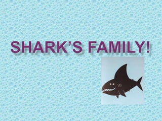 Shark’s family!