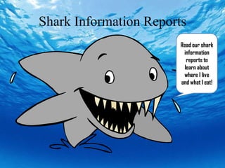 Shark Information Reports
Read our shark
information
reports to
learn about
where I live
and what I eat!
 