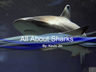 All About Sharks By: Kevin Jin 