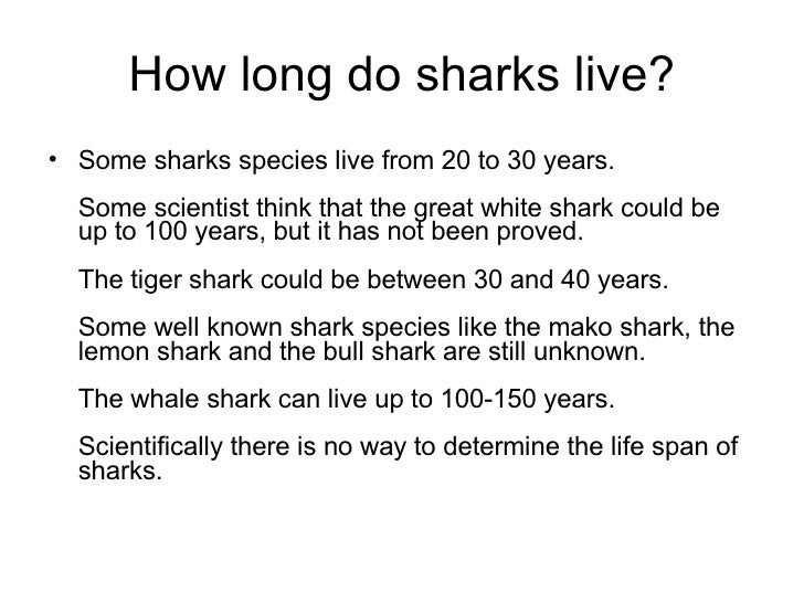 Sharks by Kevin