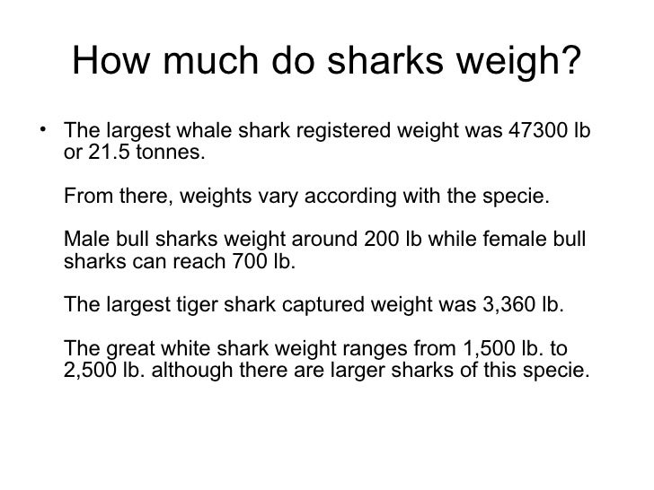 Tiger Shark Weight Chart