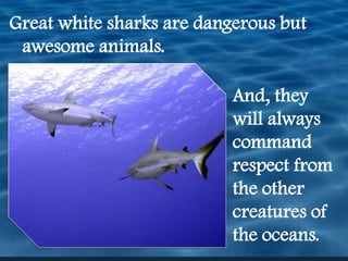 Great white sharks are dangerous but awesome animals.  And, they will always command respect from the other creatures of the oceans.