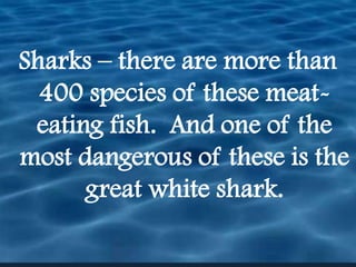 Sharks – there are more than 400 species of these meat-eating fish.  And one of the most dangerous of these is the great white shark. 