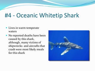 #4 - Oceanic Whitetip SharkLives in warm temperate watersNo reported deaths have been caused by this shark, although, many victims of shipwrecks  and aircrafts that crash were most likely meals for this shark