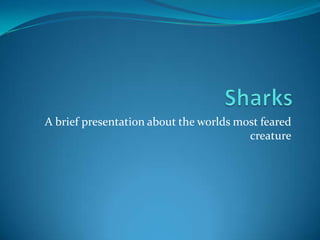 Sharks A brief presentation about the worlds most feared creature 