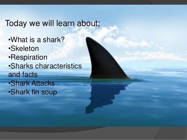 Sharks Ppt
