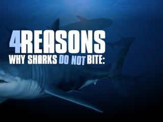 How to Survive the Shark Tank - Part 1 [Investor Tips] - #sharktank