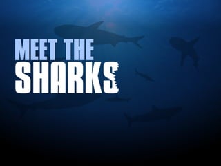 How to Survive the Shark Tank - Part 1 [Investor Tips] - #sharktank