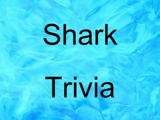 Shark Trivia 