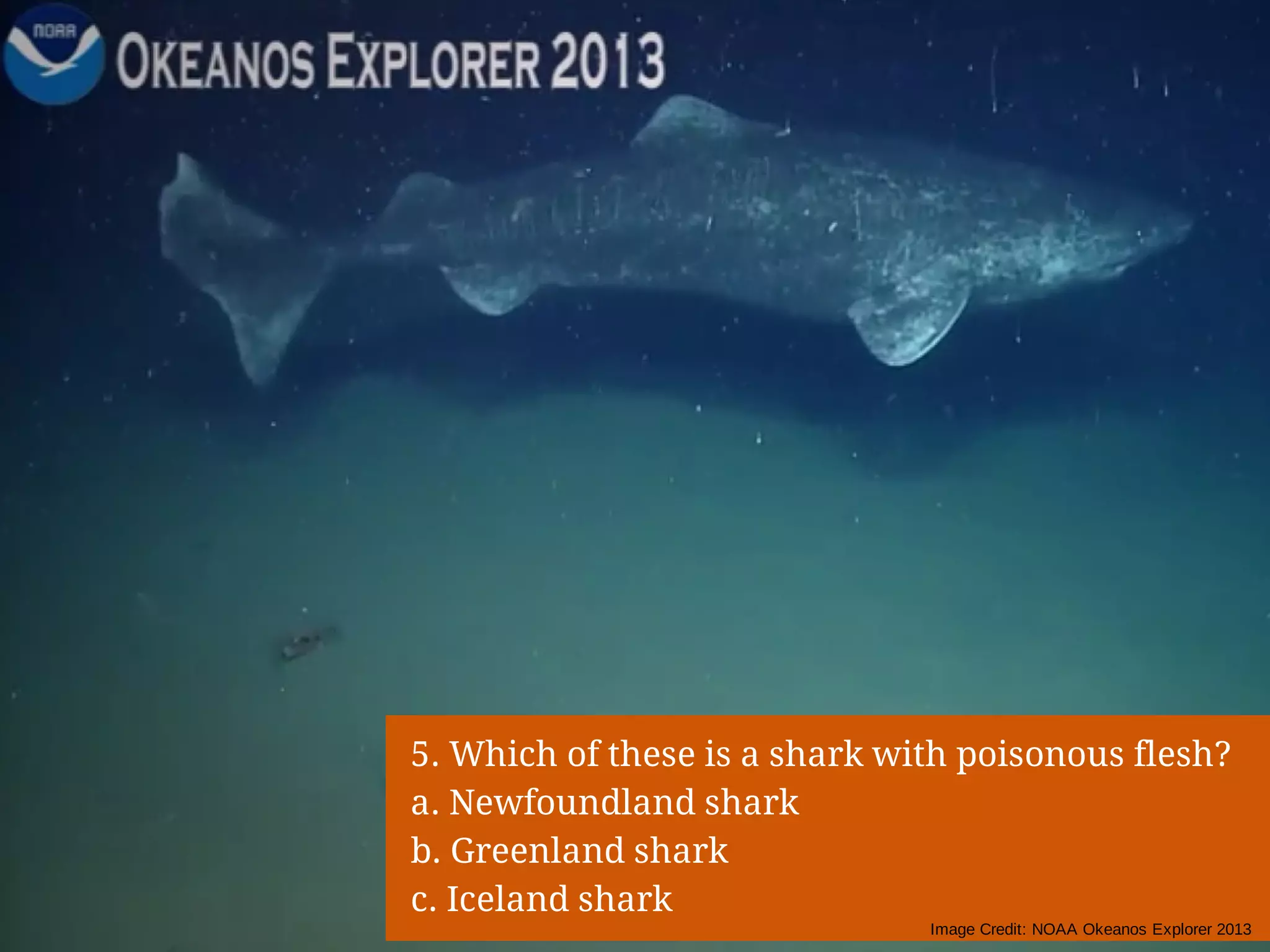 Slide 10