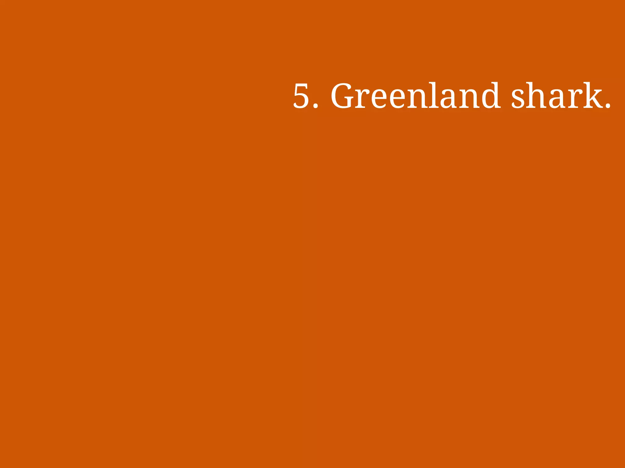 Slide 11