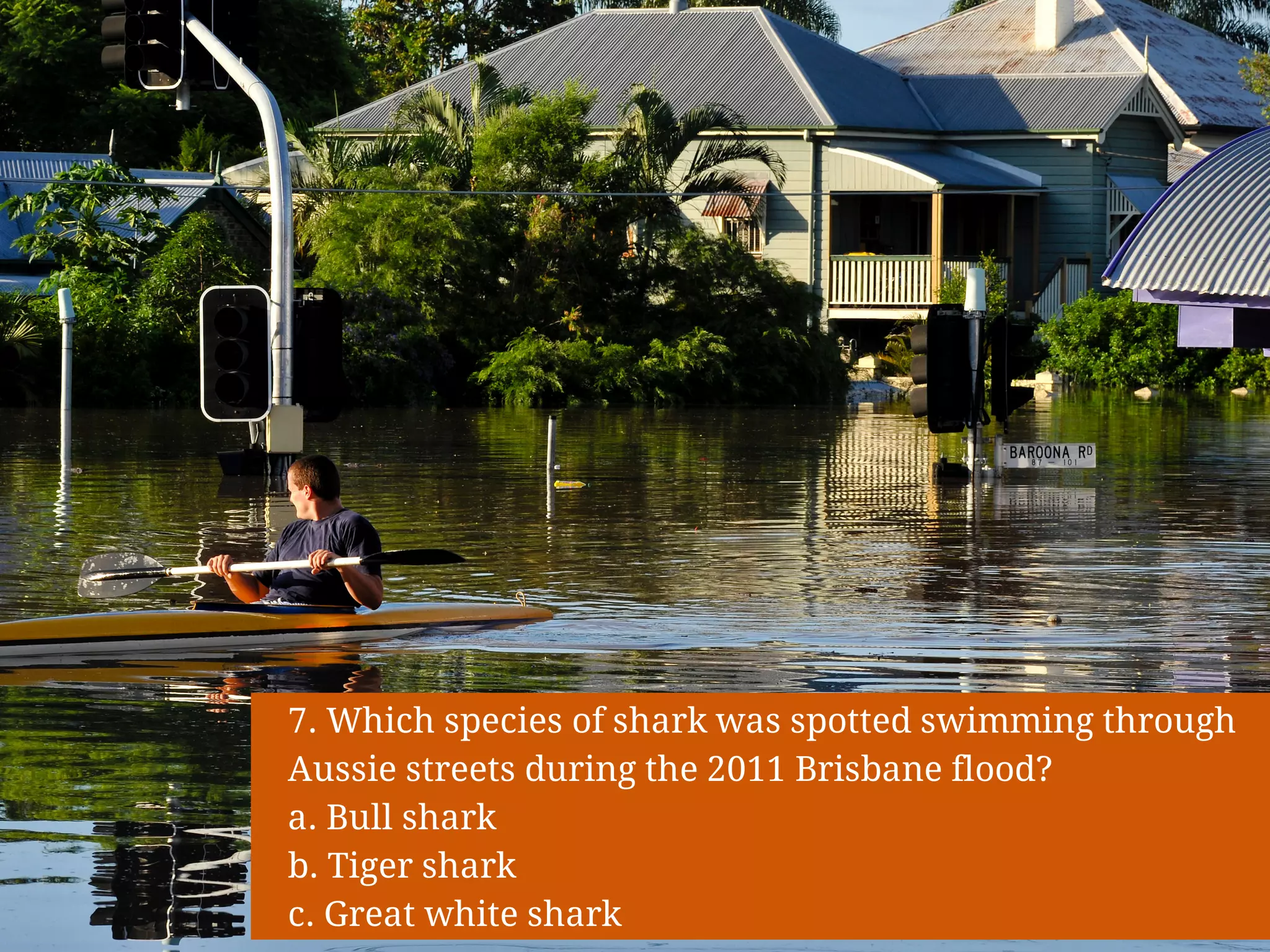 Slide 14