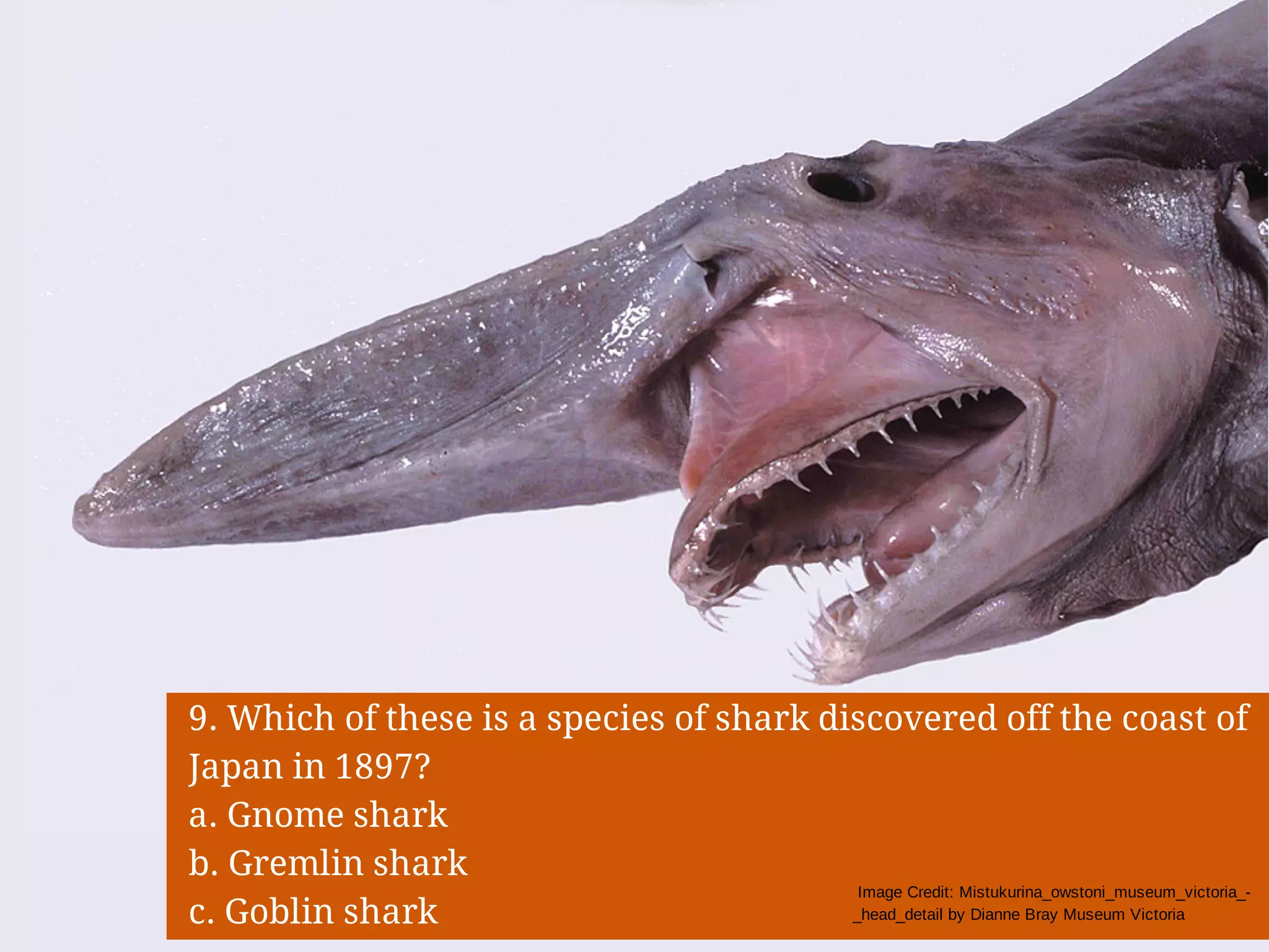 Slide 18