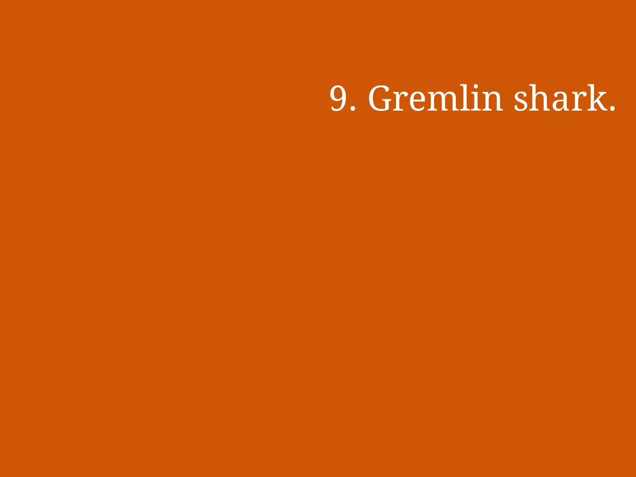 Slide 19