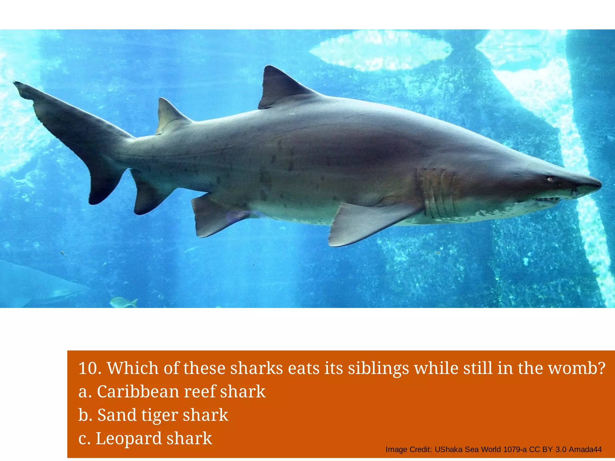 Slide 20