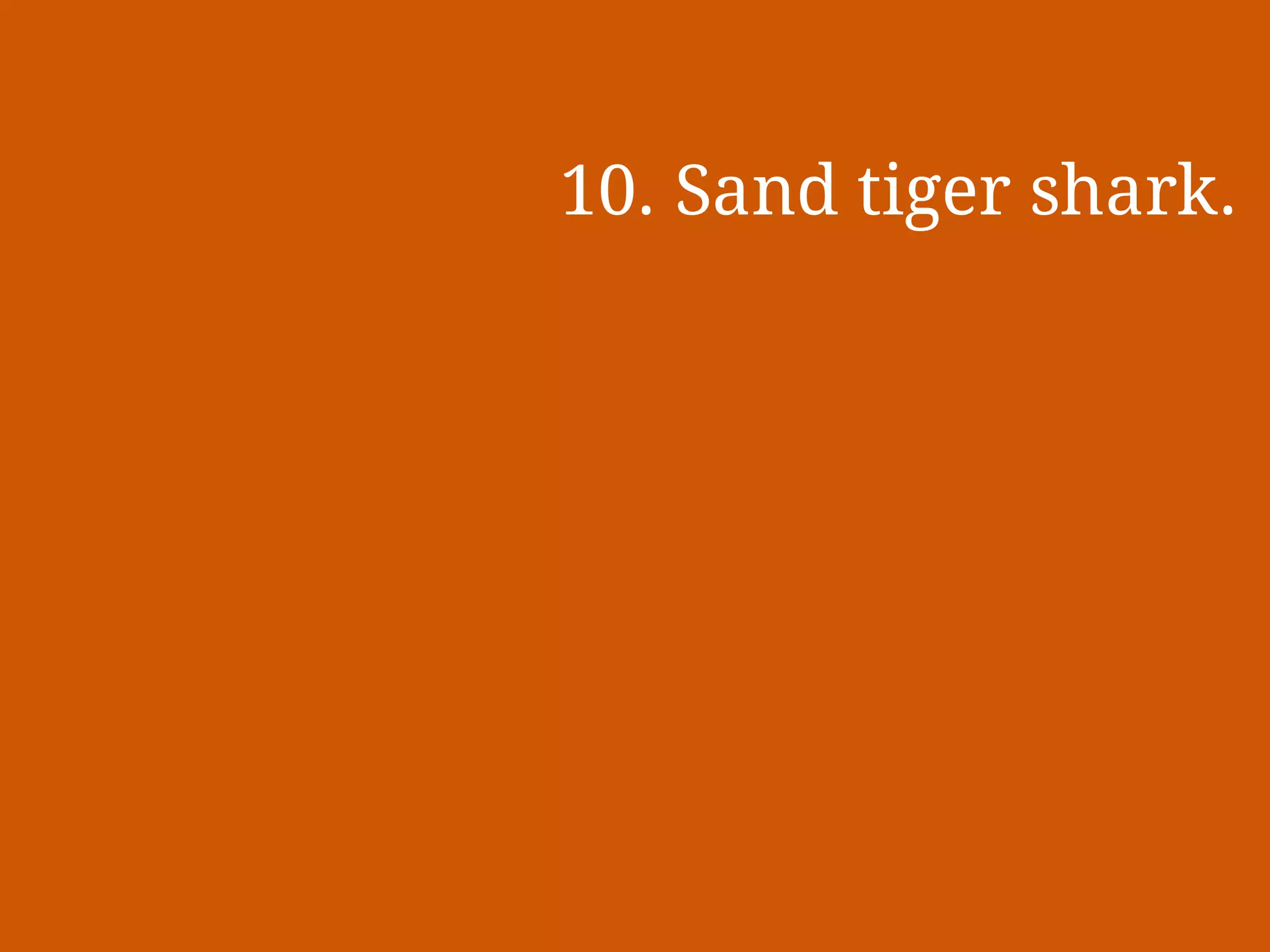 Slide 21