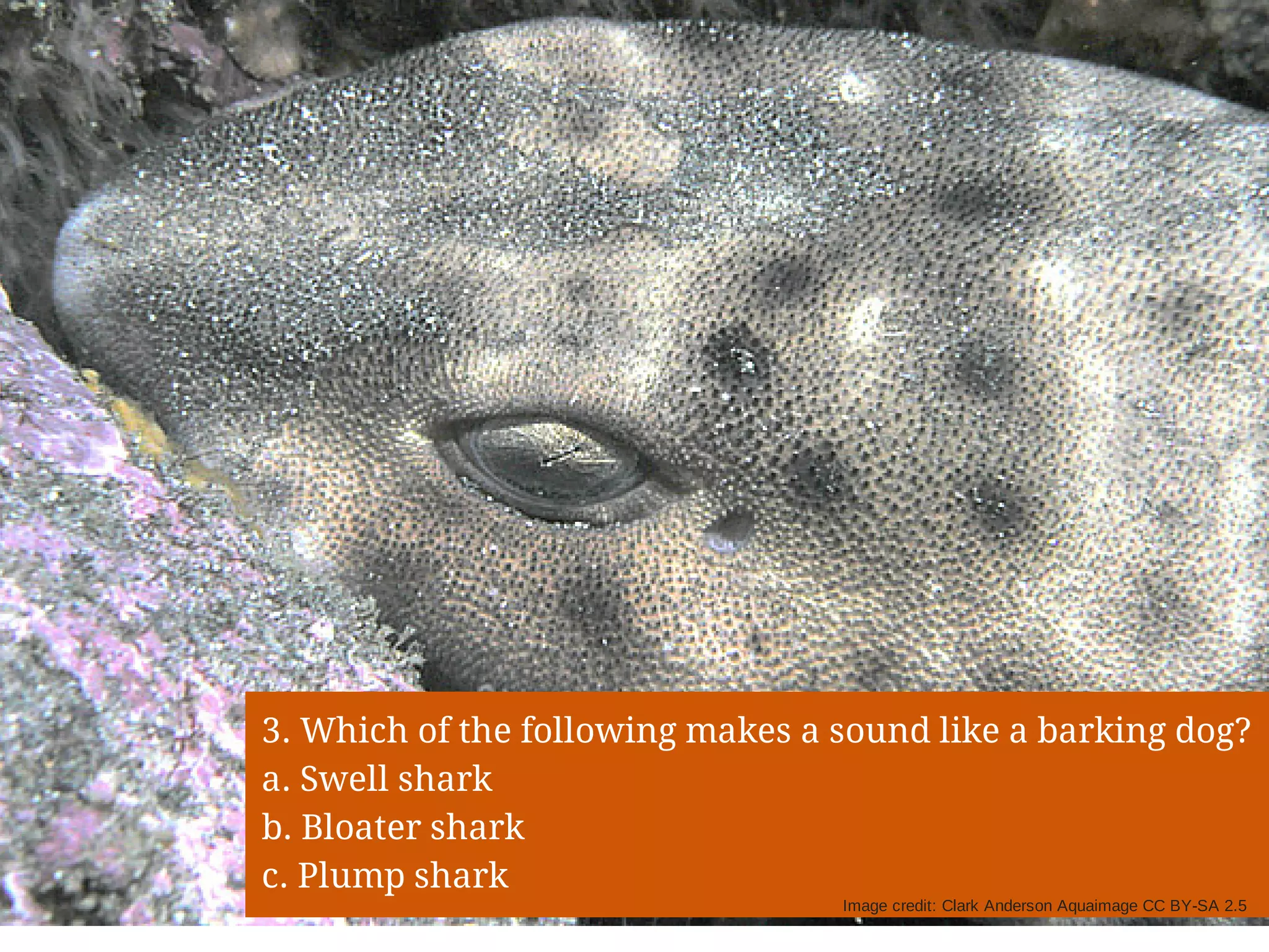 Slide 6
