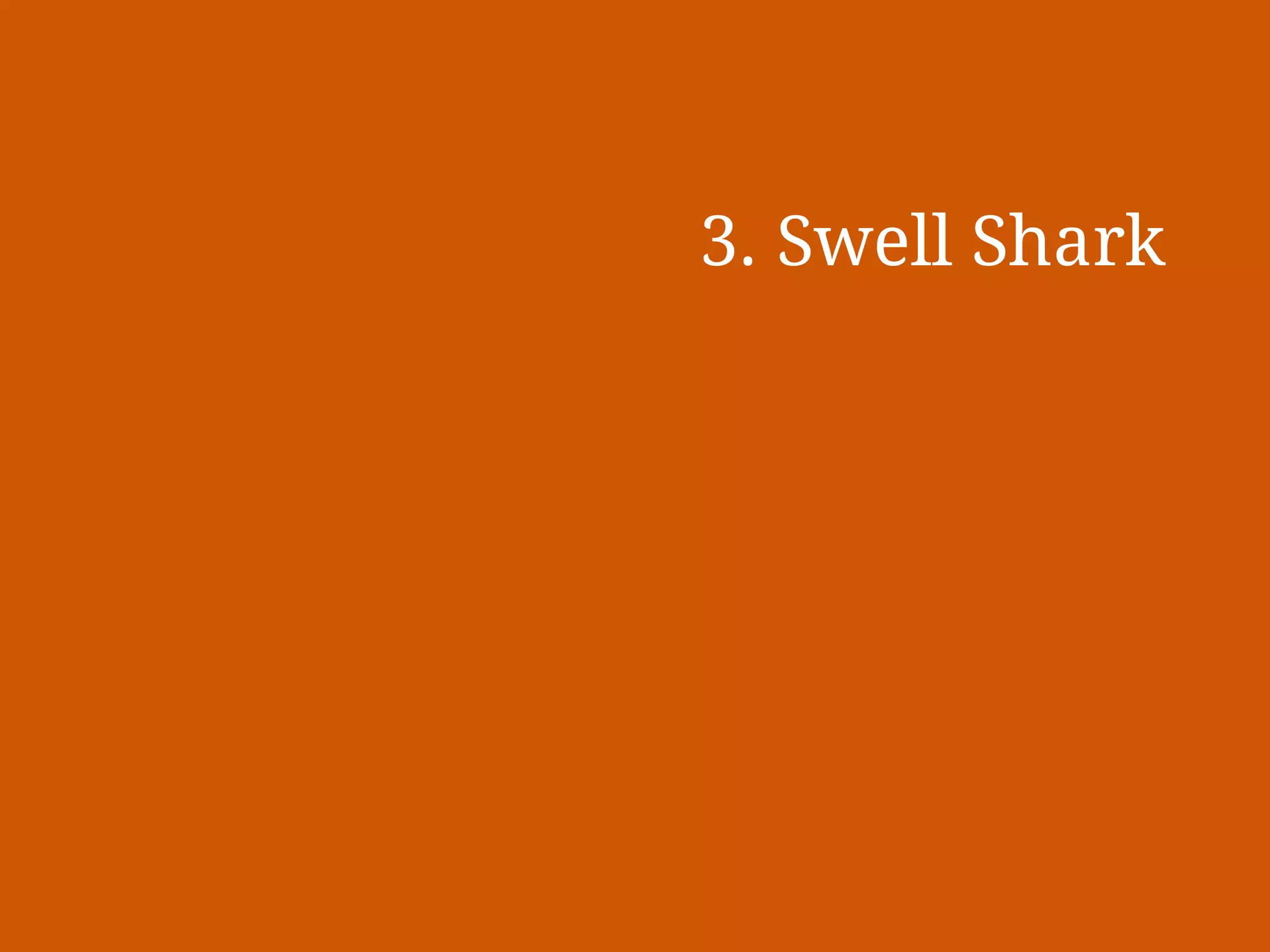 Slide 7