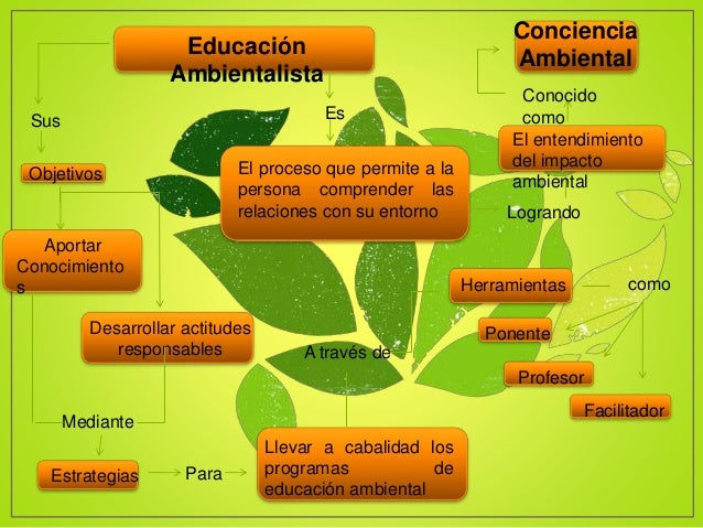 Ecología, Educación y Conciencia Ambientalista