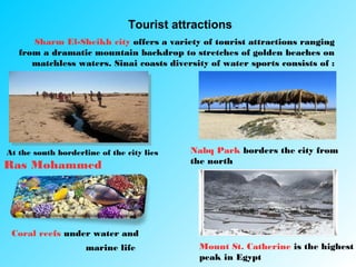 Tourist attractions
Coral reefs under water and
marine life
At the south borderline of the city lies
Ras Mohammed
Sharm El-Sheikh city offers a variety of tourist attractions ranging
from a dramatic mountain backdrop to stretches of golden beaches on
matchless waters. Sinai coasts diversity of water sports consists of :
Nabq Park borders the city from
the north
Mount St. Catherine is the highest
peak in Egypt
 