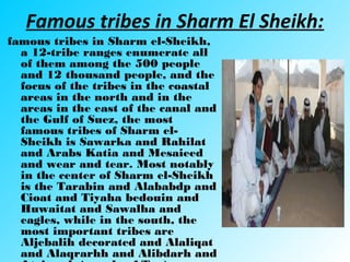 Famous tribes in Sharm El Sheikh:
famous tribes in Sharm el-Sheikh,
a 12-tribe ranges enumerate all
of them among the 500 people
and 12 thousand people, and the
focus of the tribes in the coastal
areas in the north and in the
areas in the east of the canal and
the Gulf of Suez, the most
famous tribes of Sharm el-
Sheikh is Sawarka and Rahilat
and Arabs Katia and Mesaieed
and wear and tear. Most notably
in the center of Sharm el-Sheikh
is the Tarabin and Alababdp and
Cioat and Tiyaha bedouin and
Huwaitat and Sawalha and
eagles, while in the south, the
most important tribes are
Aljebalih decorated and Alaliqat
and Alaqrarhh and Alibdarh and
 