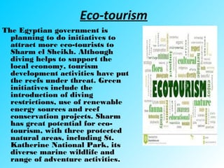 Eco-tourism
The Egyptian government is
planning to do initiatives to
attract more eco-tourists to
Sharm el Sheikh. Although
diving helps to support the
local economy, tourism
development activities have put
the reefs under threat. Green
initiatives include the
introduction of diving
restrictions, use of renewable
energy sources and reef
conservation projects. Sharm
has great potential for eco-
tourism, with three protected
natural areas, including St.
Katherine National Park, its
diverse marine wildlife and
range of adventure activities.
 