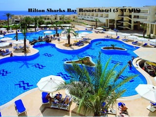 Hilton Sharks Bay Resort hotel (5 STARS)
 