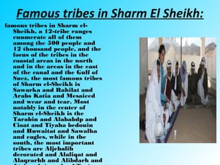 Famous tribes in Sharm El Sheikh:
famous tribes in Sharm el-
Sheikh, a 12-tribe ranges
enumerate all of them
among the 500 people and
12 thousand people, and the
focus of the tribes in the
coastal areas in the north
and in the areas in the east
of the canal and the Gulf of
Suez, the most famous tribes
of Sharm el-Sheikh is
Sawarka and Rahilat and
Arabs Katia and Mesaieed
and wear and tear. Most
notably in the center of
Sharm el-Sheikh is the
Tarabin and Alababdp and
Cioat and Tiyaha bedouin
and Huwaitat and Sawalha
and eagles, while in the
south, the most important
tribes are Aljebalih
decorated and Alaliqat and
Alaqrarhh and Alibdarh and
 