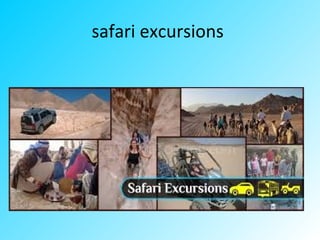 safari excursions
 