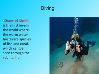 Diving
•Sharm el-Sheikh
is the first level in
the world where
the warm water
hosts rare species
of fish and coral,
which can be
seen through the
submarine.
 