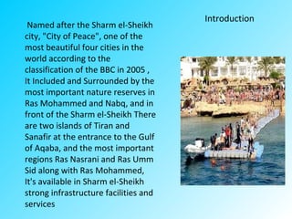 Named after the Sharm el-Sheikh
city, "City of Peace", one of the
most beautiful four cities in the
world according to the
classification of the BBC in 2005 ,
It Included and Surrounded by the
most important nature reserves in
Ras Mohammed and Nabq, and in
front of the Sharm el-Sheikh There
are two islands of Tiran and
Sanafir at the entrance to the Gulf
of Aqaba, and the most important
regions Ras Nasrani and Ras Umm
Sid along with Ras Mohammed,
It's available in Sharm el-Sheikh
strong infrastructure facilities and
services
Introduction
 
