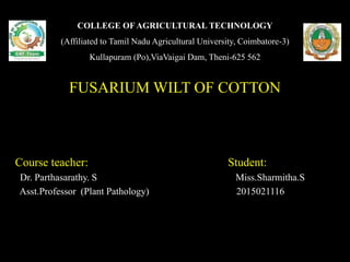 COLLEGE OF AGRICULTURAL TECHNOLOGY
(Affiliated to Tamil Nadu Agricultural University, Coimbatore-3)
Kullapuram (Po),ViaVaigai Dam, Theni-625 562
FUSARIUM WILT OF COTTON
Course teacher: Student:
Dr. Parthasarathy. S Miss.Sharmitha.S
Asst.Professor (Plant Pathology) 2015021116
 