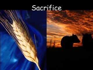 Sacrifice 