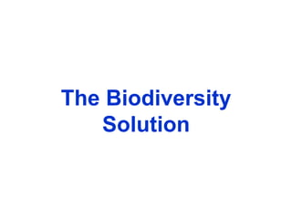 The Biodiversity
Solution
 