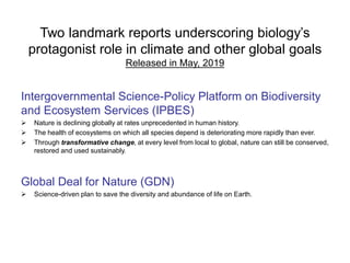 Two landmark reports underscoring biology’s
protagonist role in climate and other global goals
Released in May, 2019
Intergovernmental Science-Policy Platform on Biodiversity
and Ecosystem Services (IPBES)
➢ Nature is declining globally at rates unprecedented in human history.
➢ The health of ecosystems on which all species depend is deteriorating more rapidly than ever.
➢ Through transformative change, at every level from local to global, nature can still be conserved,
restored and used sustainably.
Global Deal for Nature (GDN)
➢ Science-driven plan to save the diversity and abundance of life on Earth.
 
