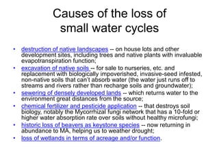 Causes of the loss of
small water cycles
• destruction of native landscapes -- on house lots and other
development sites, including trees and native plants with invaluable
evapotranspiration function;
• excavation of native soils -- for sale to nurseries, etc. and
replacement with biologically impoverished, invasive-seed infested,
non-native soils that can’t absorb water (the water just runs off to
streams and rivers rather than recharge soils and groundwater);
• sewering of densely developed lands -- which returns water to the
environment great distances from the source;
• chemical fertilizer and pesticide application -- that destroys soil
biology, notably the Mycorrhizal fungi network that has a 10-fold or
higher water absorption rate over soils without healthy microfungi;
• historic loss of beavers as keystone species -- now returning in
abundance to MA, helping us to weather drought;
• loss of wetlands in terms of acreage and/or function.
 