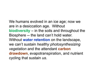 We humans evolved in an ice age; now we
are in a desiccation age. Without
biodiversity – in the soils and throughout the
Biosphere -- the land can’t hold water.
Without water retention on the landscape,
we can’t sustain healthy photosynthesizing
vegetation and the attendant carbon
drawdown, evapotranspiration, and nutrient
cycling that sustain us.
 