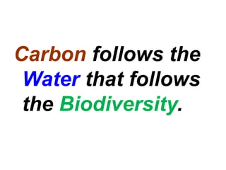 Carbon follows the
Water that follows
the Biodiversity.
 