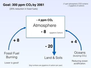 Photo collage slide of larger
restorations
 